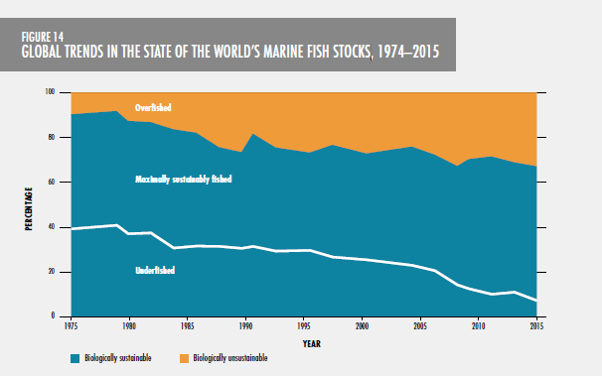 海洋資源の過剰搾取を示すグラフ画像