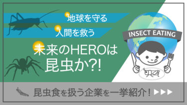 昆虫食で先端をゆく日本・世界の企業を徹底紹介！